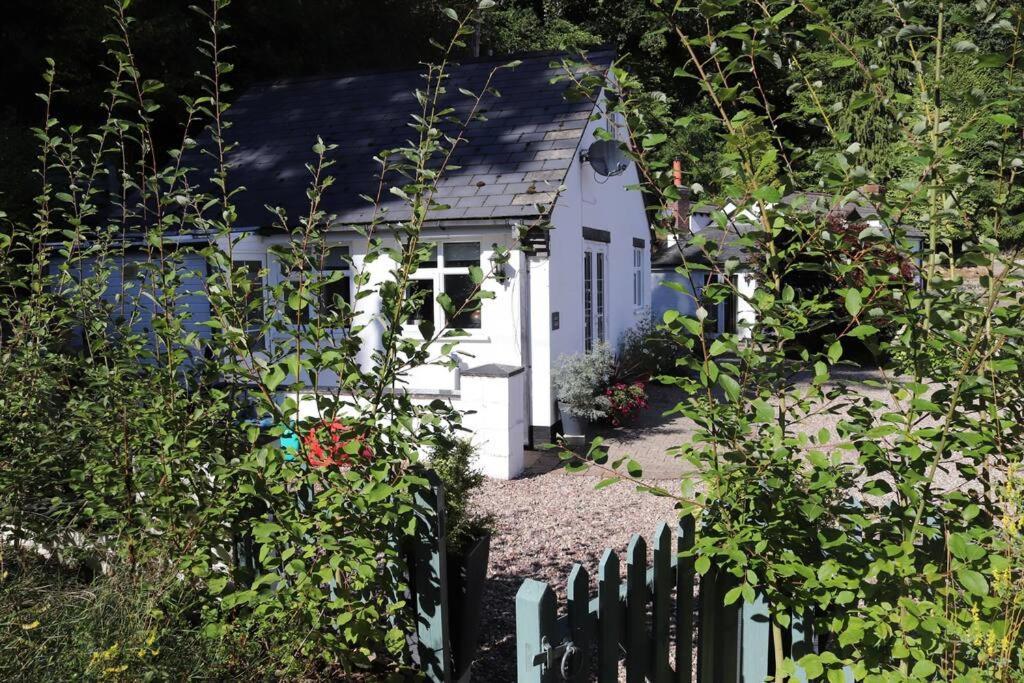Garn Lodge Newtown  Buitenkant foto