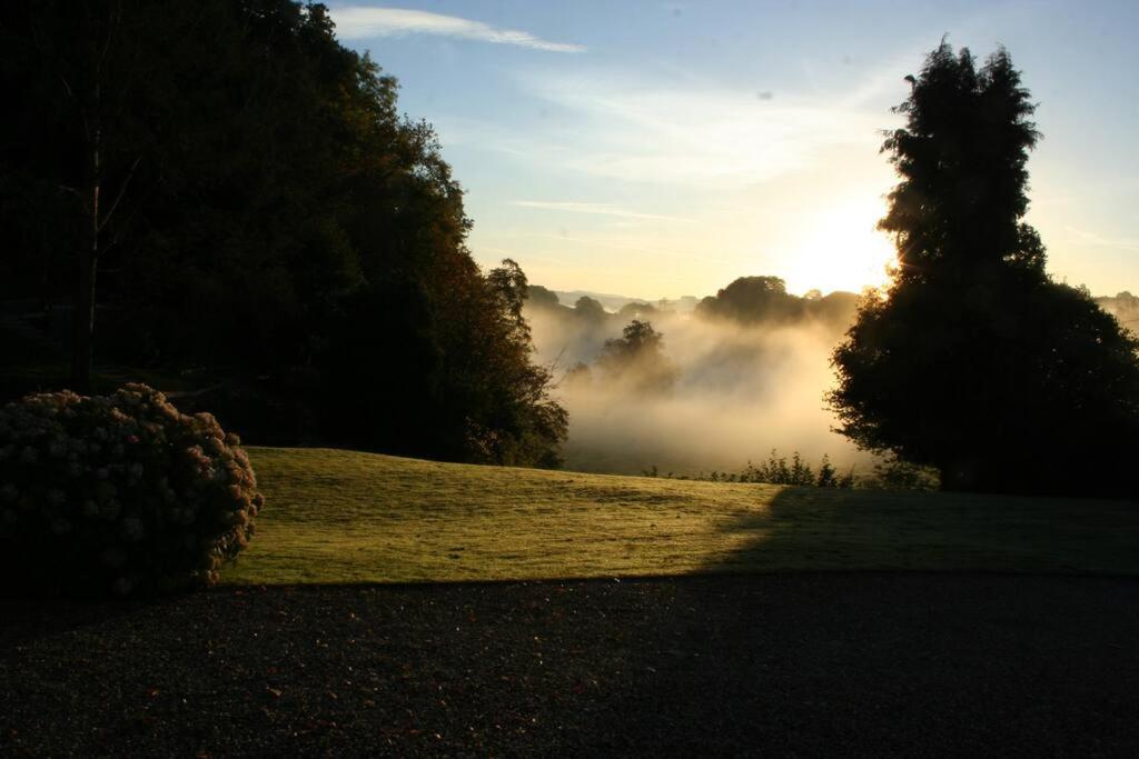 Garn Lodge Newtown  Buitenkant foto