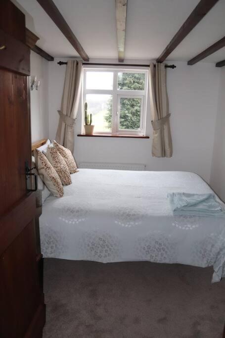 Garn Lodge Newtown  Buitenkant foto